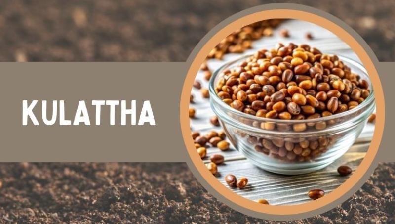Kulattha